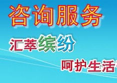 信息咨詢服務(wù) 定義、流程與核心價(jià)值